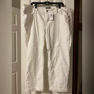 NWT - TORRID - 20S - VINTAGE STRETCH - BOYFRIEND STRAIGHT DENIM